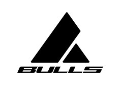 Logo-Bulls