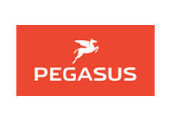 Logo-Pegasus